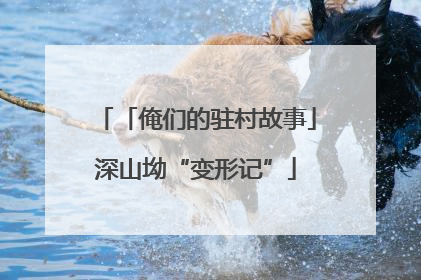 「俺们的驻村故事」深山坳“变形记”