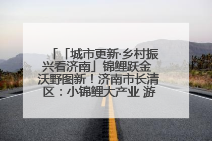 「城市更新·乡村振兴看济南」锦鲤跃金 沃野图新！济南市长清区：小锦鲤大产业 游出农旅新风景