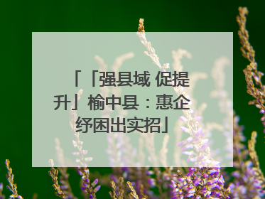 「强县域 促提升」榆中县：惠企纾困出实招