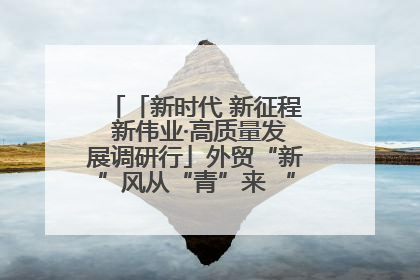 「新时代 新征程 新伟业·高质量发展调研行」外贸“新”风从“青”来 “双向奔赴”启新程