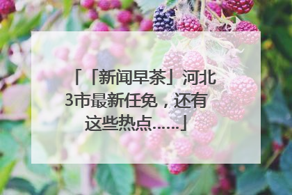 「新闻早茶」河北3市最新任免，还有这些热点……