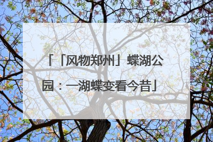 「风物郑州」蝶湖公园：一湖蝶变看今昔