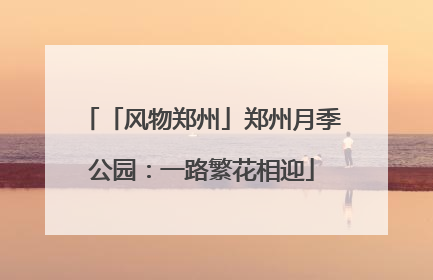 「风物郑州」郑州月季公园：一路繁花相迎
