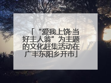 “爱我上饶·当好主人翁”为主题的文化赶集活动在广丰东阳乡开市