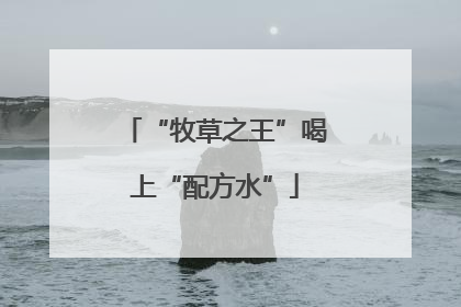 “牧草之王”喝上“配方水”