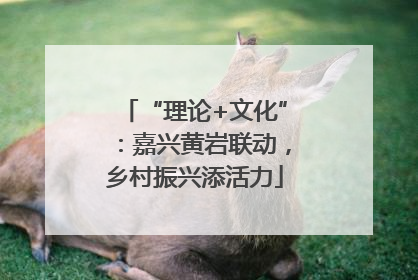 “理论+文化”：嘉兴黄岩联动，乡村振兴添活力