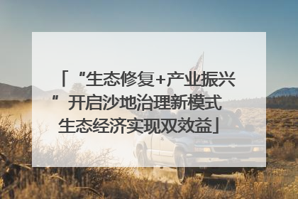 “生态修复+产业振兴”开启沙地治理新模式 生态经济实现双效益