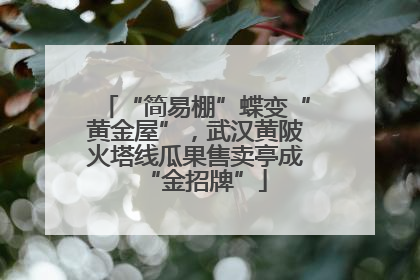 “简易棚”蝶变“黄金屋”，武汉黄陂火塔线瓜果售卖亭成“金招牌”