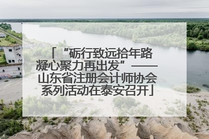 “砺行致远拾年路 凝心聚力再出发”——山东省注册会计师协会系列活动在泰安召开