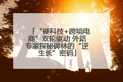 “硬科技+跨境电商”双轮驱动 外籍专家探秘碑林的“逆生长”密码