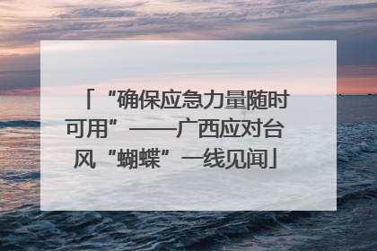 “确保应急力量随时可用”——广西应对台风“蝴蝶”一线见闻