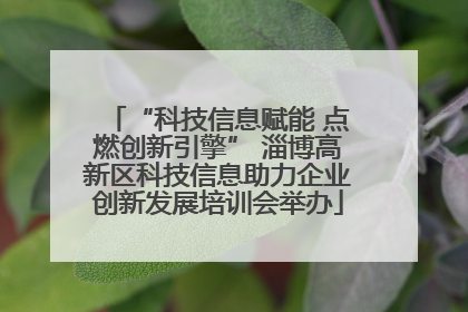 “科技信息赋能 点燃创新引擎” 淄博高新区科技信息助力企业创新发展培训会举办