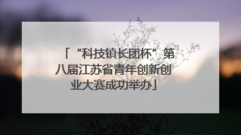 “科技镇长团杯”第八届江苏省青年创新创业大赛成功举办
