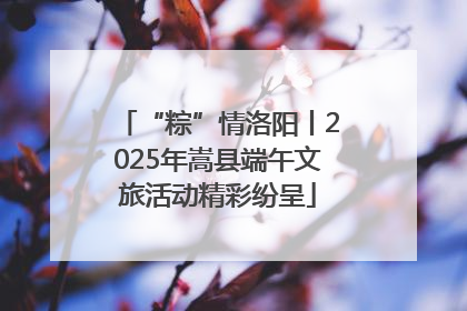 “粽”情洛阳丨2025年嵩县端午文旅活动精彩纷呈
