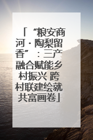 “粮安商河・陶梨留香”：三产融合赋能乡村振兴 跨村联建绘就共富画卷