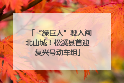“绿巨人”驶入闽北山城！松溪县首迎复兴号动车组