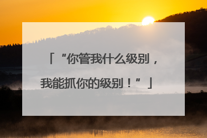 “你管我什么级别，我能抓你的级别！”