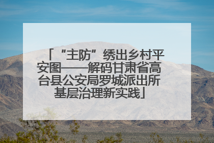 “主防”绣出乡村平安图——解码甘肃省高台县公安局罗城派出所基层治理新实践