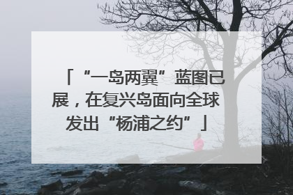 “一岛两翼”蓝图已展，在复兴岛面向全球发出“杨浦之约”