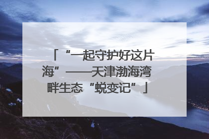 “一起守护好这片海”——天津渤海湾畔生态“蜕变记”