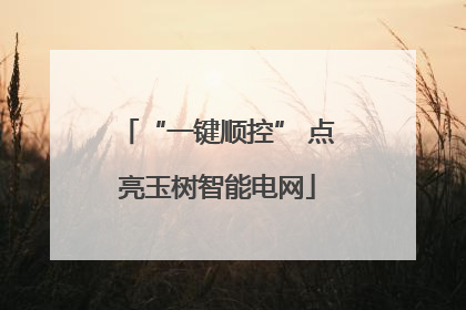 “一键顺控” 点亮玉树智能电网