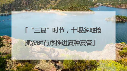 “三夏”时节，十堰多地抢抓农时有序推进夏种夏管
