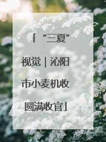 “三夏”视觉｜沁阳市小麦机收圆满收官