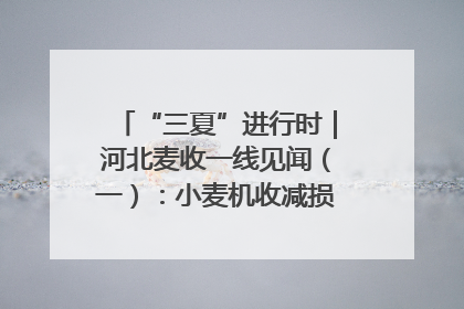 “三夏”进行时｜河北麦收一线见闻（一）：小麦机收减损“竞技” 农机高手麦田“过招”
