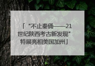 “不止秦俑——21世纪陕西考古新发现”特展亮相美国加州