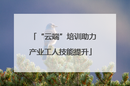 “云端”培训助力产业工人技能提升