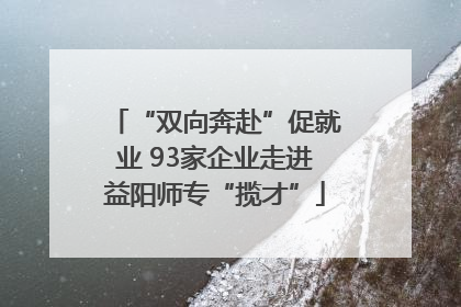 “双向奔赴”促就业 93家企业走进益阳师专“揽才”