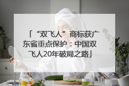 “双飞人”商标获广东省重点保护：中国双飞人20年破局之路