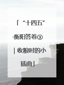 “十四五”·衡阳答卷③｜收粮时的小插曲