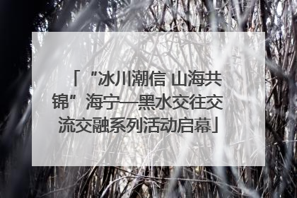 “冰川潮信 山海共锦”海宁—黑水交往交流交融系列活动启幕