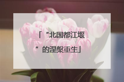 “北国都江堰”的涅槃重生