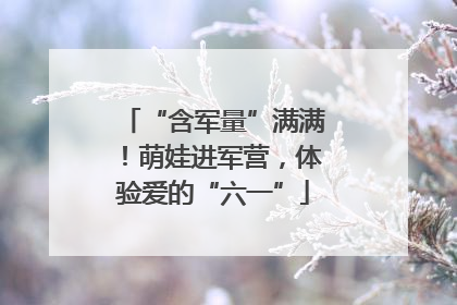 “含军量”满满！萌娃进军营，体验爱的“六一”