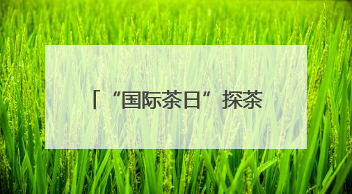 “国际茶日”探茶韵：建瓯北苑贡茶春制进入收尾阶段