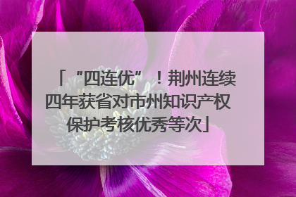 “四连优”！荆州连续四年获省对市州知识产权保护考核优秀等次