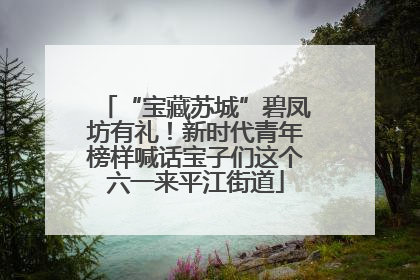 “宝藏苏城”碧凤坊有礼！新时代青年榜样喊话宝子们这个六一来平江街道