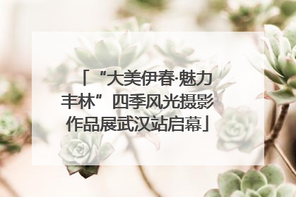 “大美伊春·魅力丰林”四季风光摄影作品展武汉站启幕