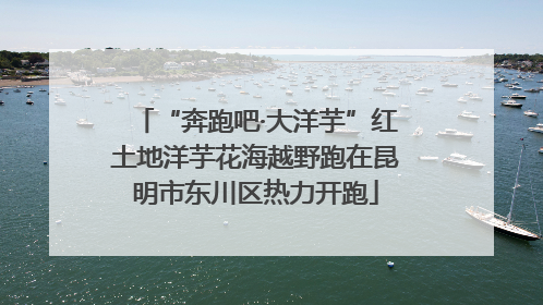 “奔跑吧·大洋芋”红土地洋芋花海越野跑在昆明市东川区热力开跑