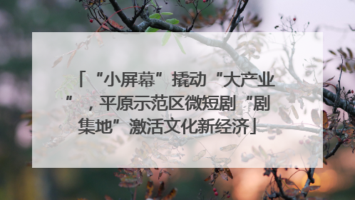 “小屏幕”撬动“大产业”，平原示范区微短剧“剧集地”激活文化新经济