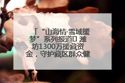 “山海情·雪域援梦”系列报道⑪ 潍坊1300万援藏资金，守护藏区群众健康“最后一公里”