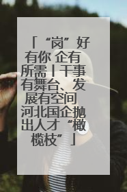 “岗”好有你 企有所需丨干事有舞台、发展有空间 河北国企抛出人才“橄榄枝”