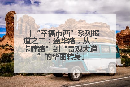 “幸福市西”系列报道之二：盛华路，从“卡脖路”到“景观大道”的华丽转身