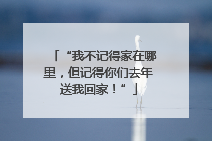 “我不记得家在哪里，但记得你们去年送我回家！”