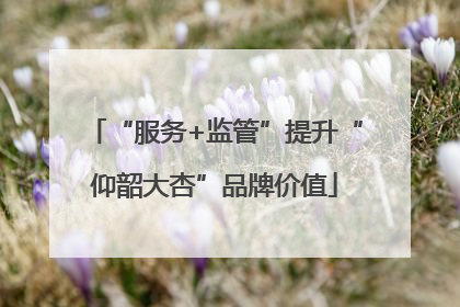“服务+监管”提升“仰韶大杏”品牌价值