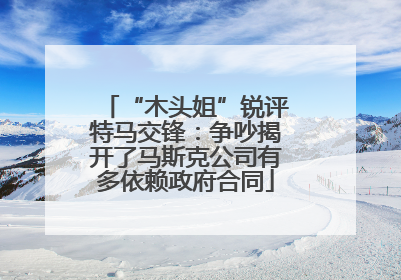 “木头姐”锐评特马交锋：争吵揭开了马斯克公司有多依赖政府合同