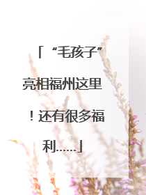 “毛孩子”亮相福州这里！还有很多福利……