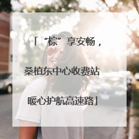 “棕”享安畅，桑植东中心收费站暖心护航高速路